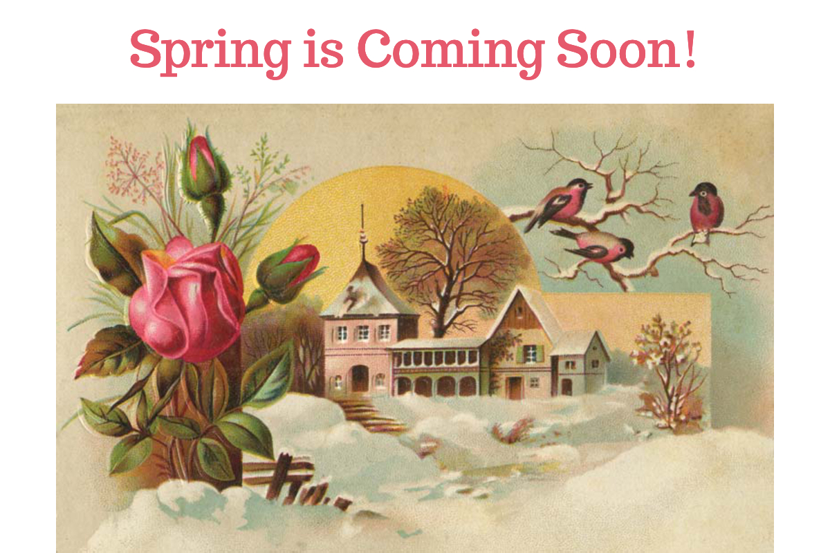 Spring is Coming Soon!